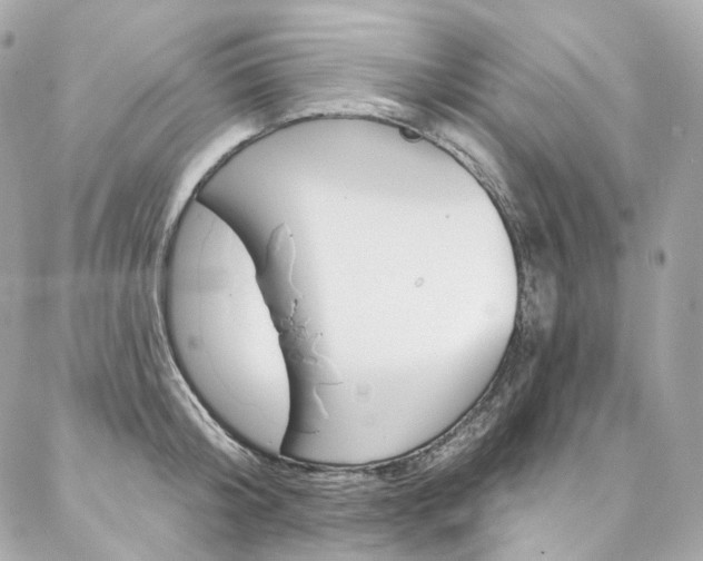 X0000087030804200704161359