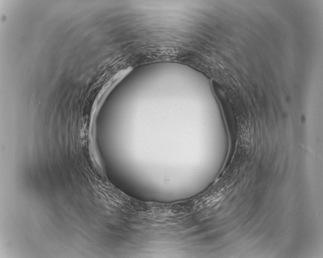 X0000087030818200704161358