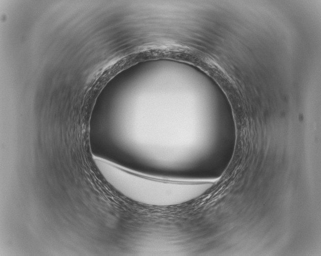 X0000087030822200704161358