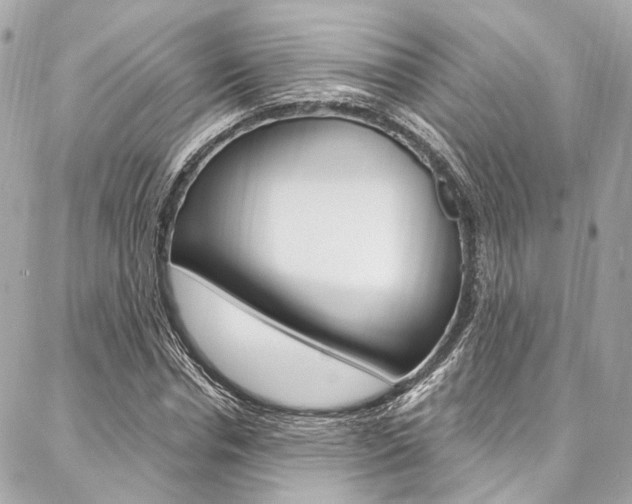 X0000087030826200704161358