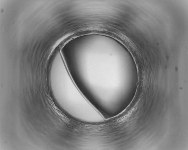 X0000087030830200704161358