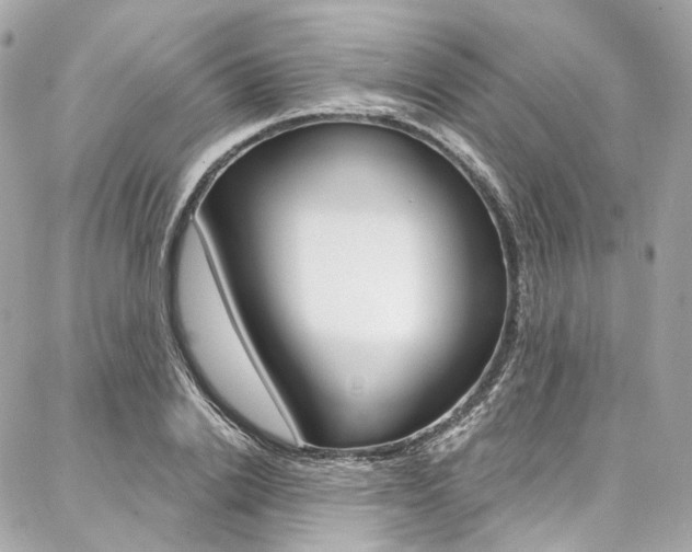 X0000087030838200704161359