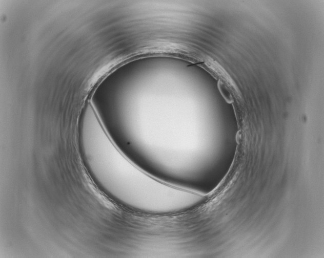 X0000087030842200704161359
