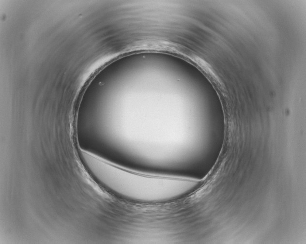 X0000087030846200704161359