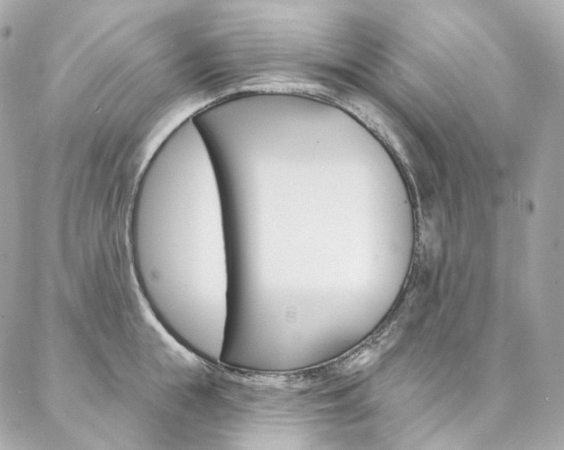 X0000087030855200704161359