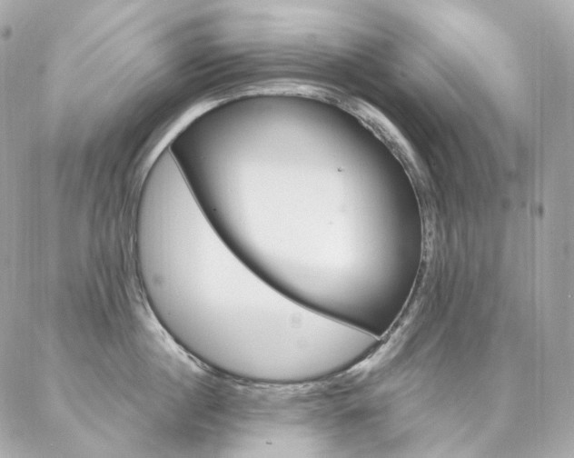 X0000087030860200704161359