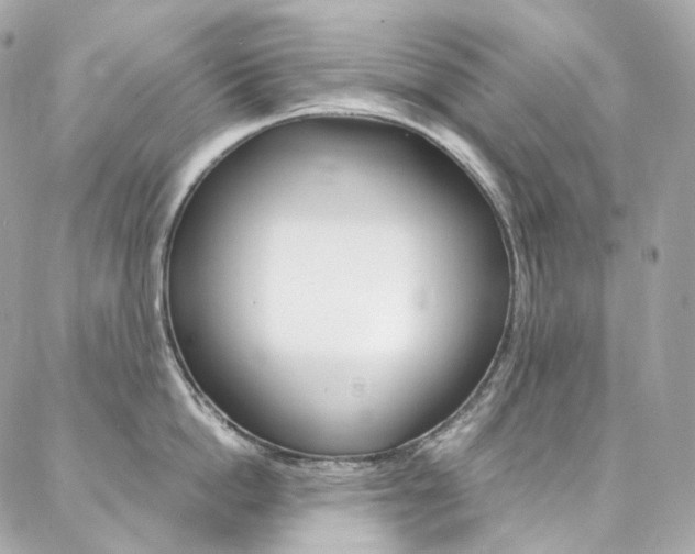 X0000087030862200704161359