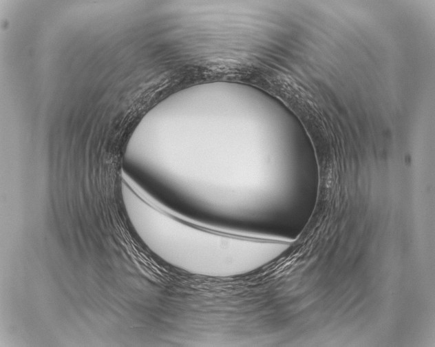 X0000087030868200704161358