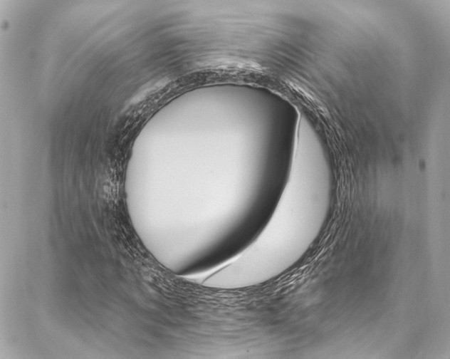 X0000087030869200704161358