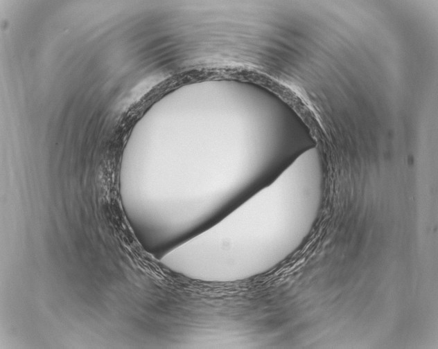 X0000087030871200704161358