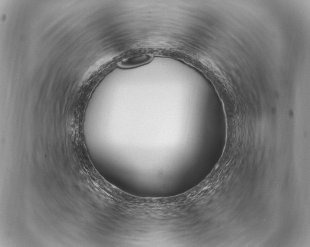 X0000087030872200704161358