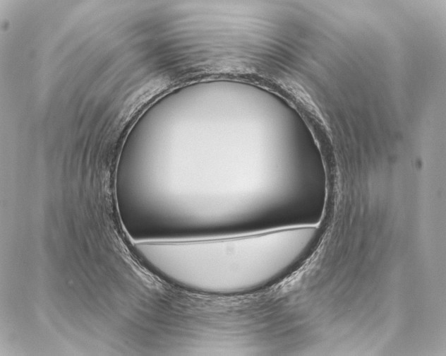X0000087030881200704161358