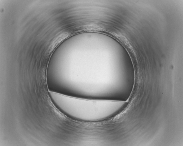 X0000087030889200704161358