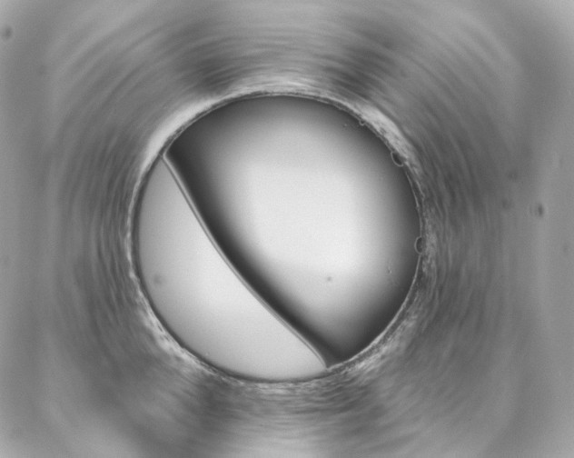 X0000087030904200704161358