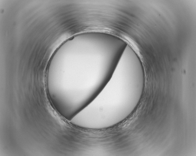 X0000087030907200704161357