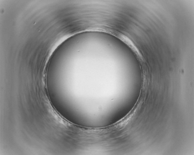 X0000087030908200704161357