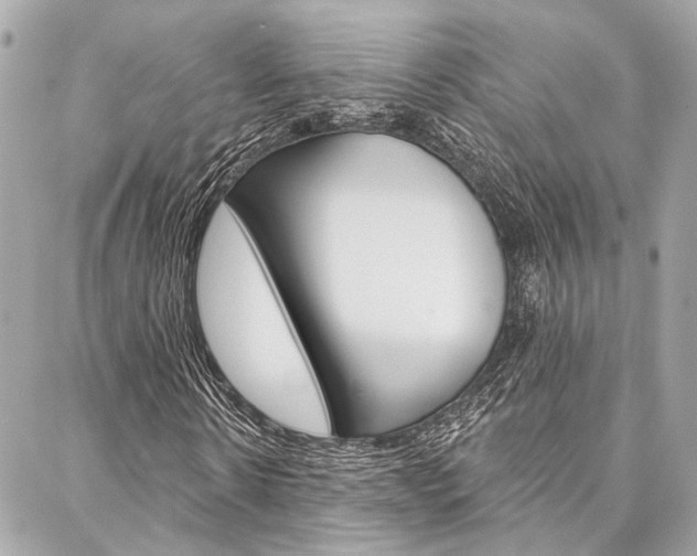 X0000087030914200704161357