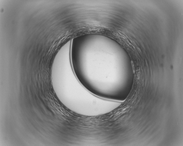 X0000087030916200704161357
