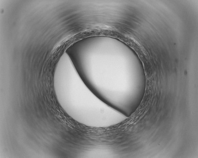 X0000087030919200704161357