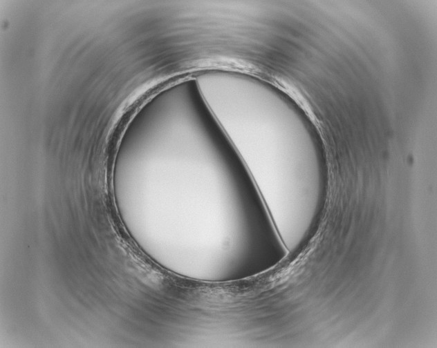 X0000087030931200704161357