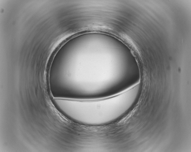 X0000087030932200704161357