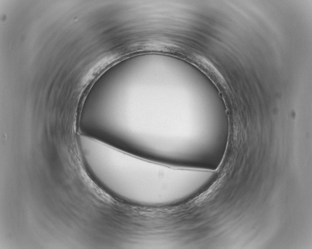 X0000087030938200704161357
