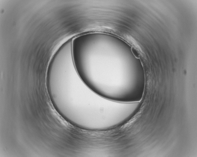X0000087030940200704161357
