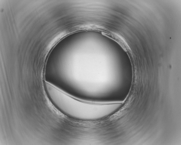 X0000087030946200704161357