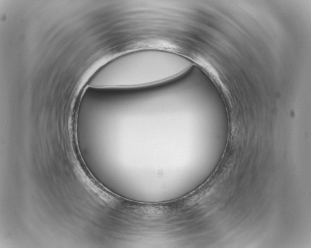 X0000087030947200704161357