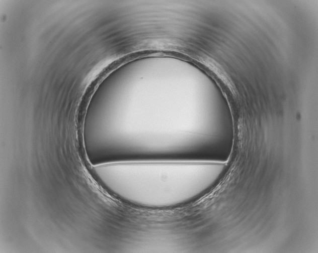 X0000087030972200704161356