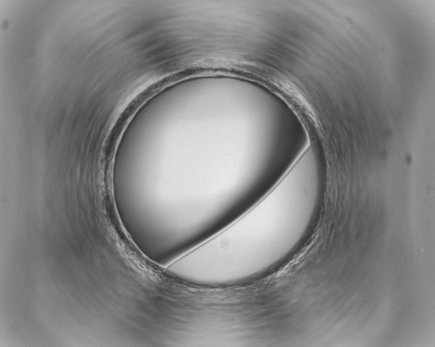 X0000087030976200704161356