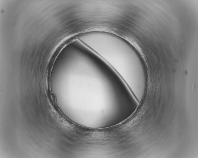 X0000087030984200704161356