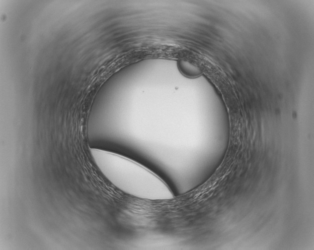 X0000087031013200704161355