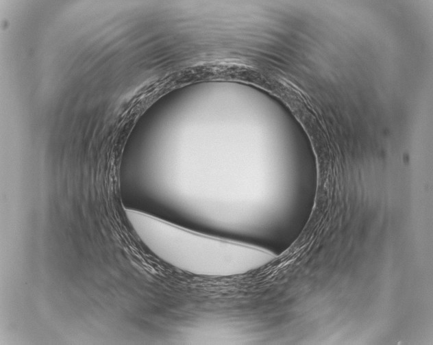 X0000087031014200704161355