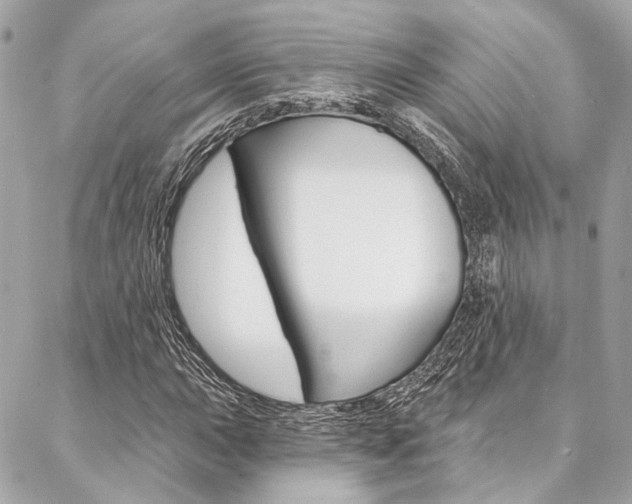 X0000087031015200704161355