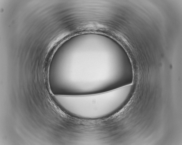 X0000087031018200704161355