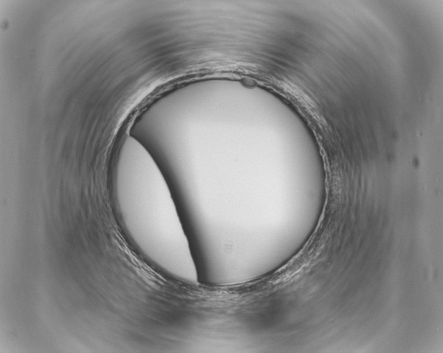 X0000087031023200704161355