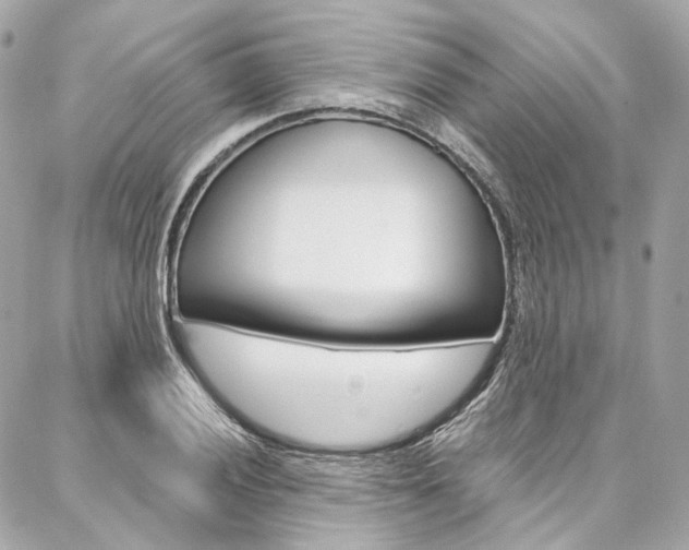 X0000087031028200704161355