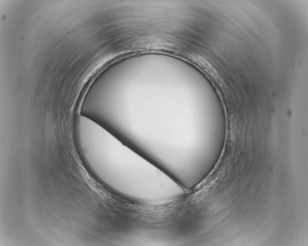 X0000087031031200704161355