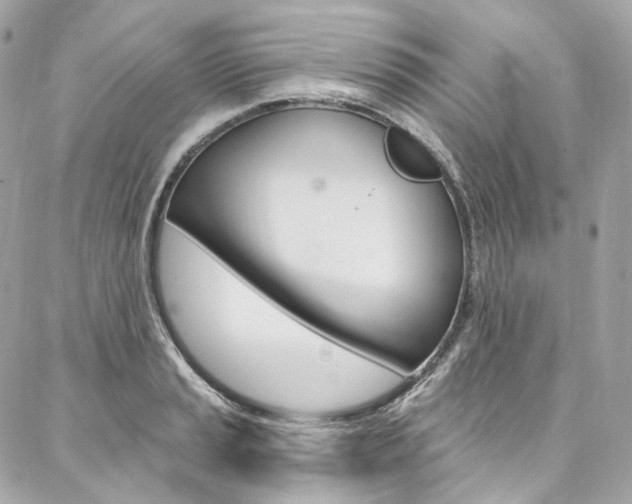 X0000087031037200704161356