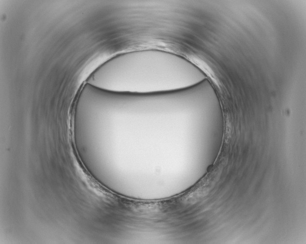 X0000087031047200704161356