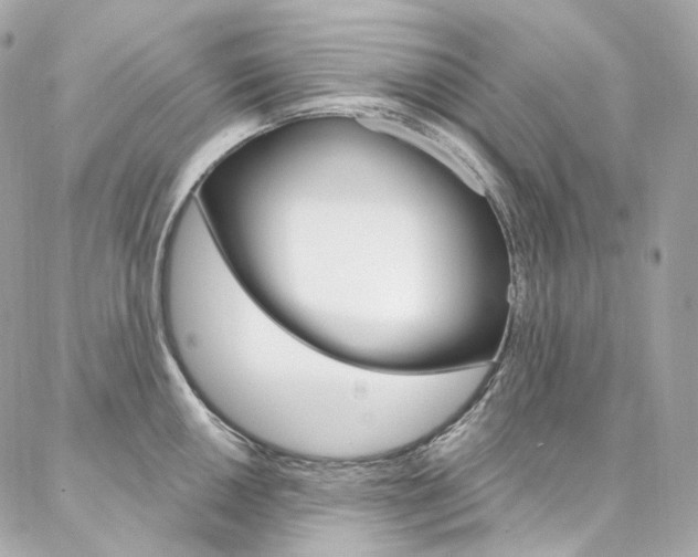 X0000087031050200704161356