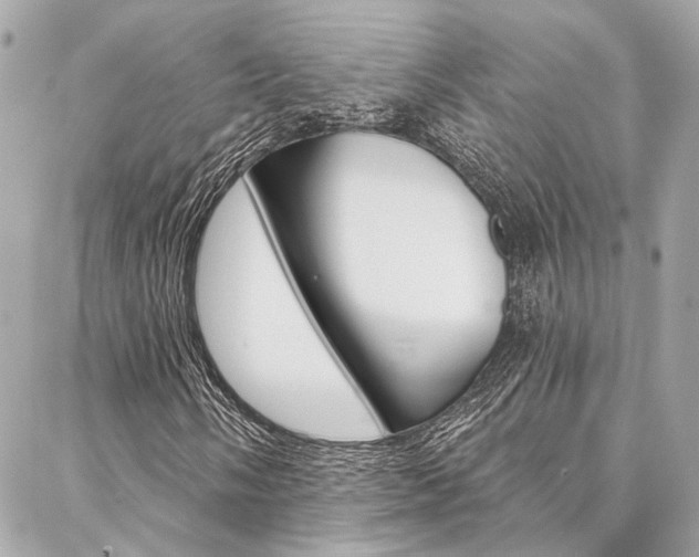 X0000087031058200704161355