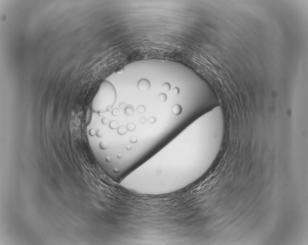 X0000087031059200704161355