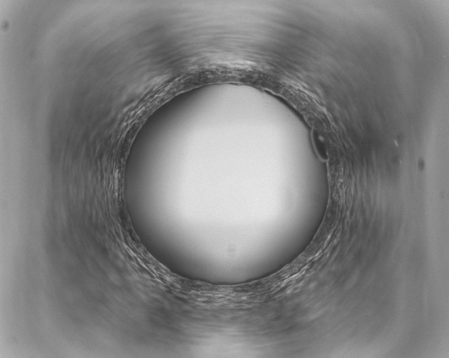 X0000087031061200704161355