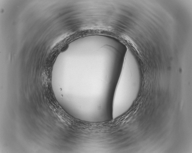 X0000087031064200704161355