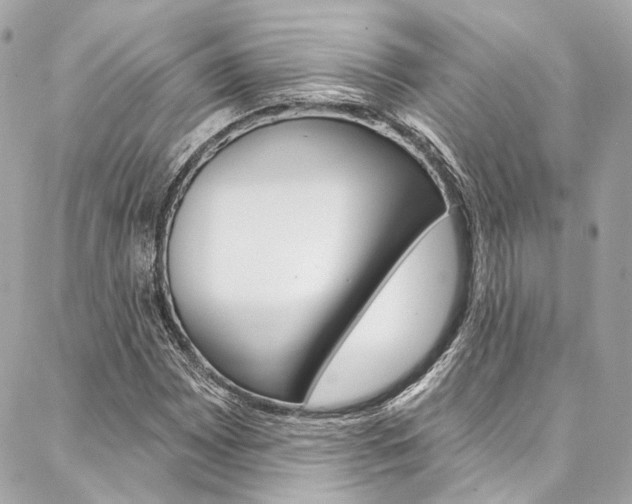 X0000087031065200704161355