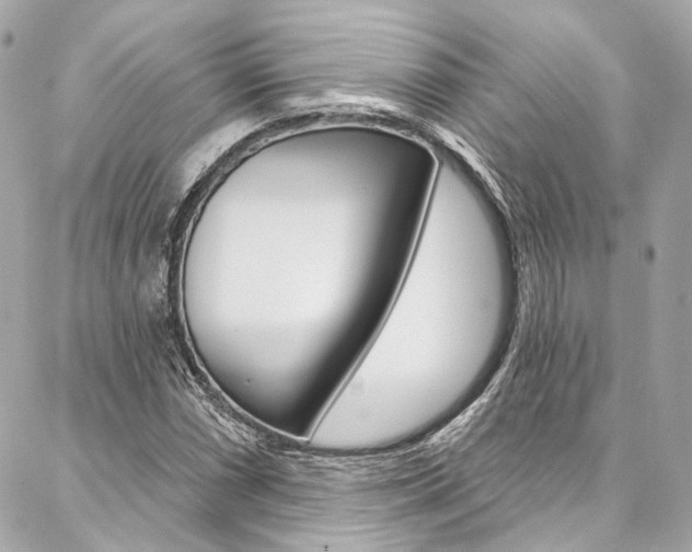 X0000087031066200704161355