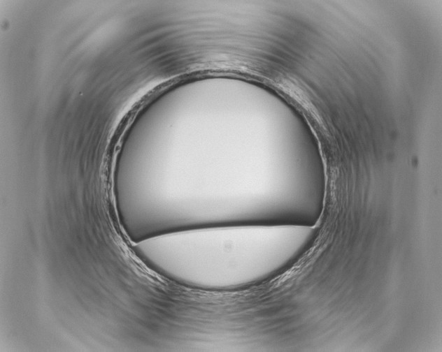 X0000087031068200704161355