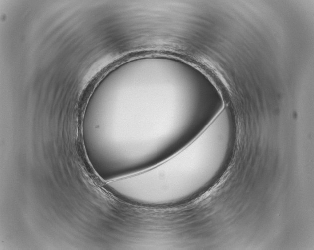 X0000087031069200704161355